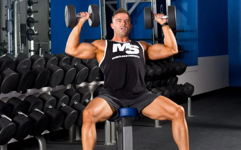 Workout Plans for Building muscle, Fat Loss and Strength Training